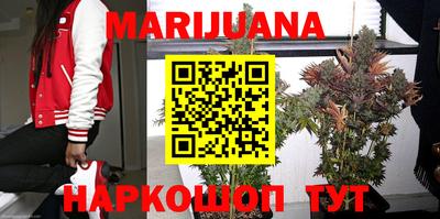 apvp Ярославль