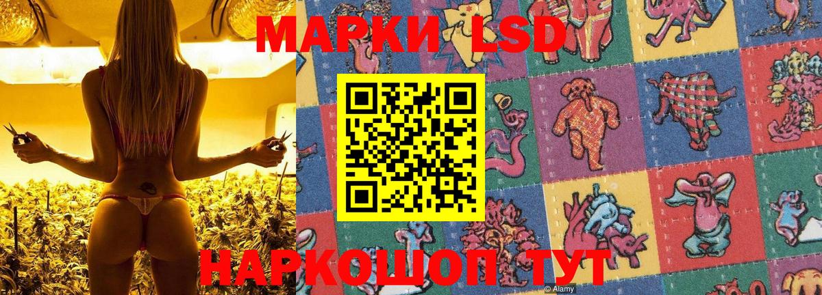 Димитровград  Наркотические марки 1,5мг  Марки N-bome  Вход с VPN  Наркотические марки 1,5мг 