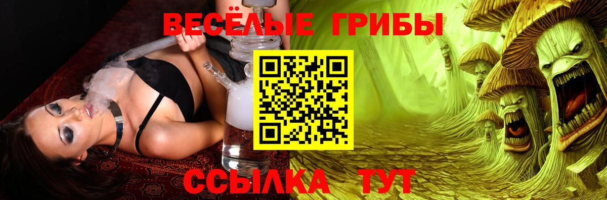 Димитровград  Псилоцибиновые грибы GOLDEN TEACHER  Вход с VPN 